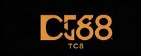 tic88